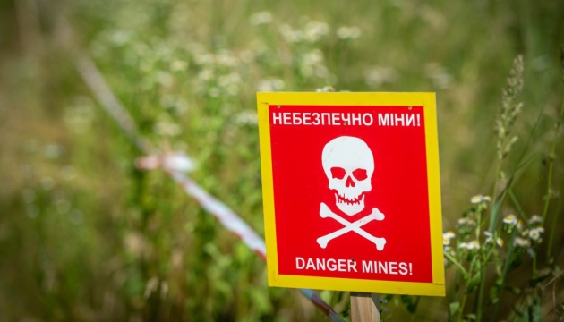 На Рокитнівщині поліцейські знайшли боєприпас до протитанкового гранатомету у лісі