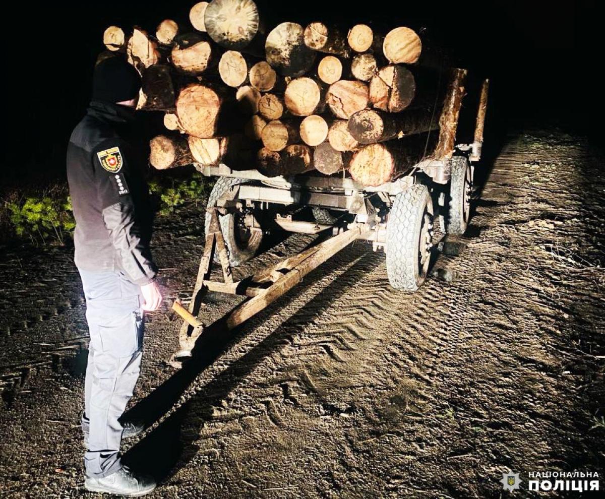 На Рівненщині поліцейські викрили зловмисників на незаконній порубці лісу