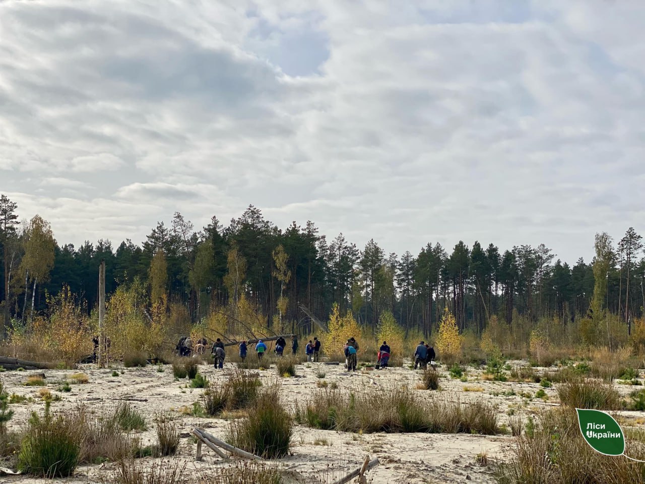 Фото ілюстративне